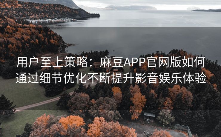 用户至上策略：麻豆APP官网版如何通过细节优化不断提升影音娱乐体验