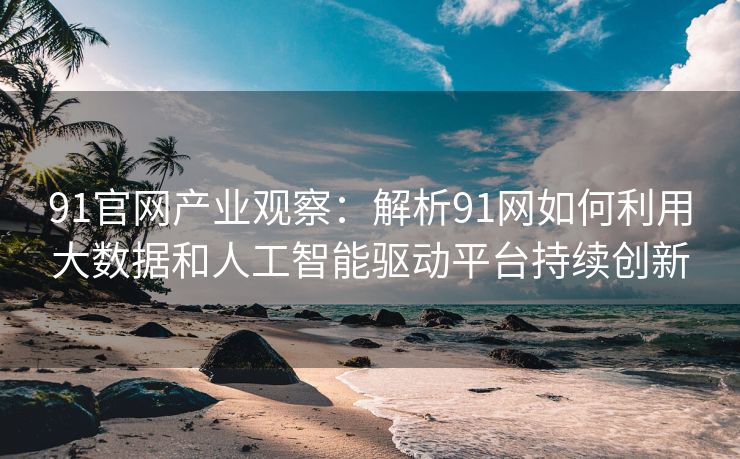91官网产业观察:解析91网如何利用大数据和人工智能驱动平台持续创新 91官网产业观察:解析91网如何利用大数据和人工智能驱动平台持续创新