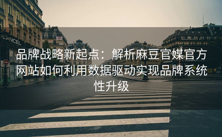 品牌战略新起点：解析麻豆官媒官方网站如何利用数据驱动实现品牌系统性升级